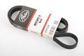 Alfa Romeo Grande Punto Auxiliary Belt. Part Number 55202621