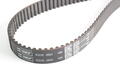 Fiat Stilo Cambelt Kit. Part Number 6000629056