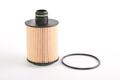 Alfa Romeo Grande Punto Oil Filter. Part Number 71770689